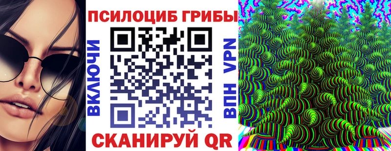 Купить Сальск Галлюциногенные грибы MAGIC MUSHROOMS